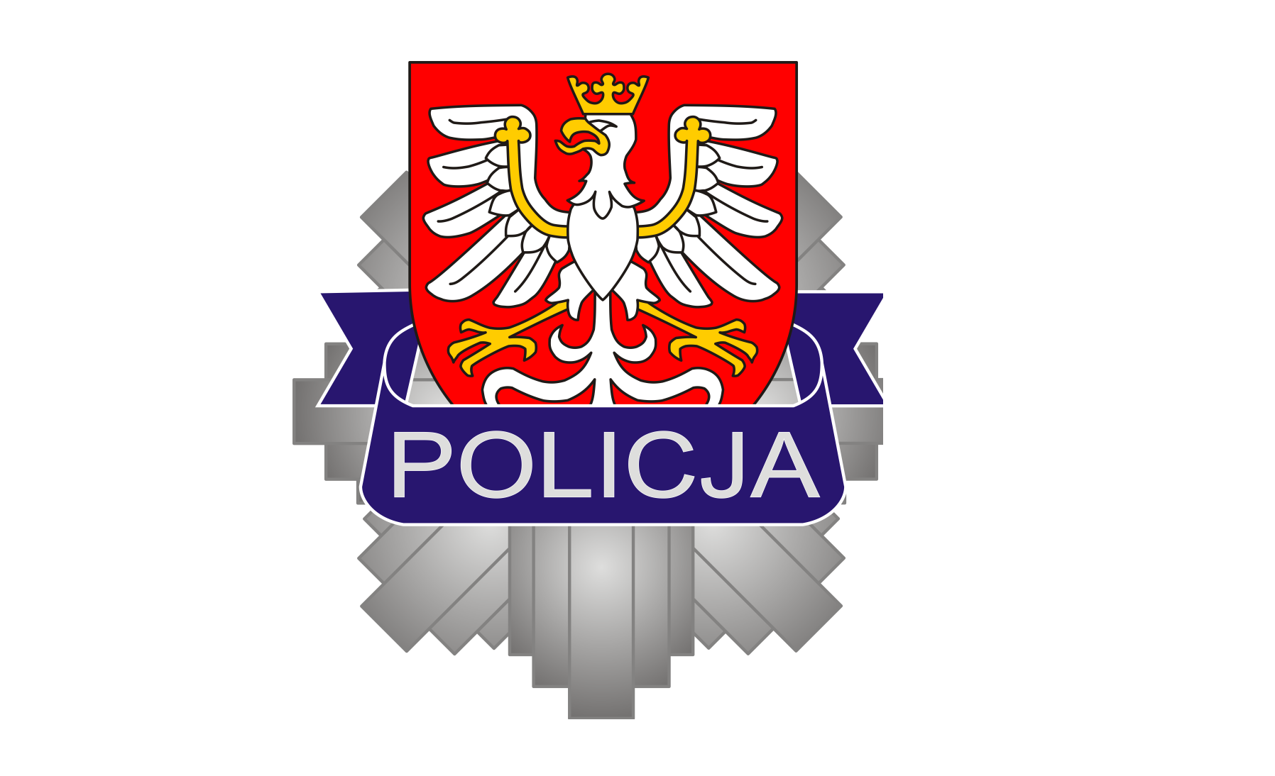 POLICJA